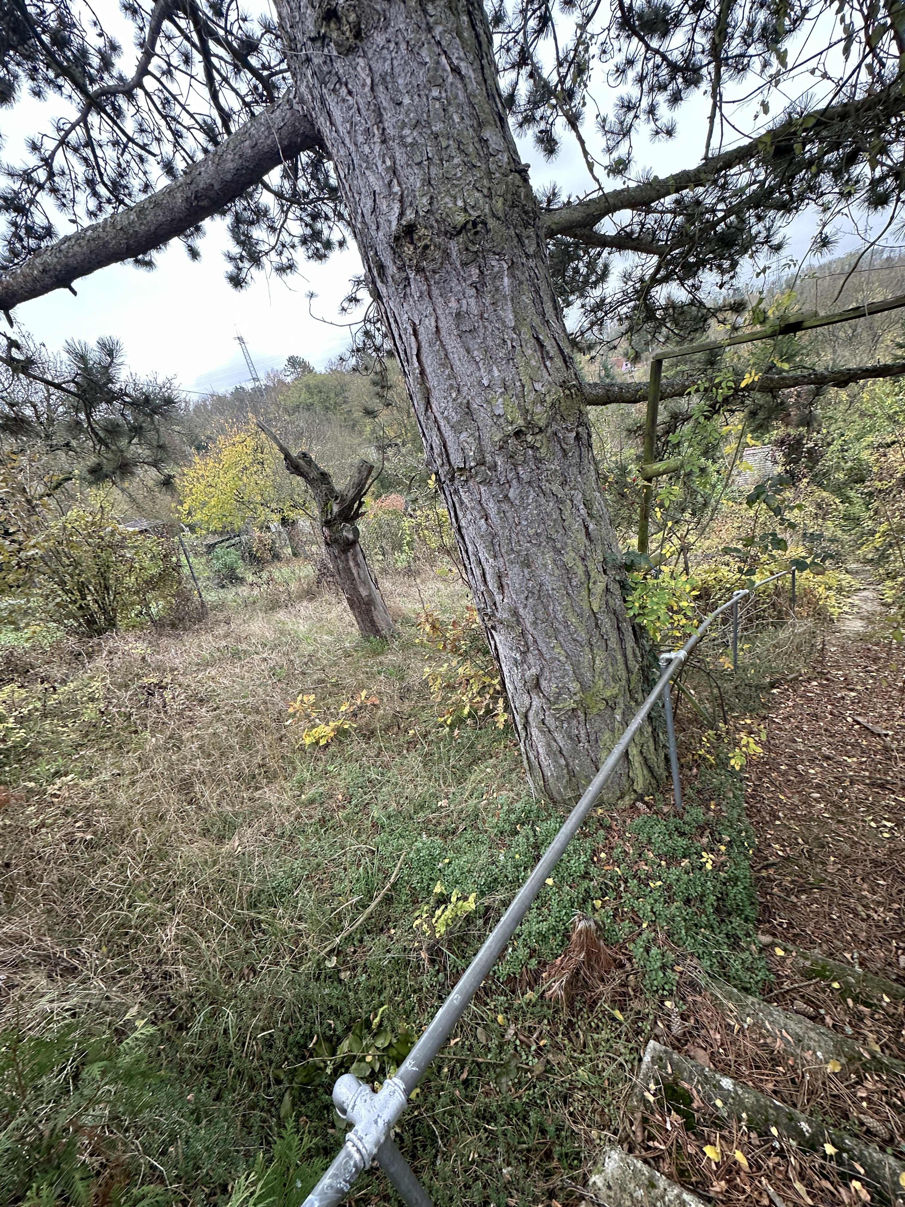 Seltenes Garten-, Wald- und Freizeitgrundstück in Würzburg Oberdürrbach!
