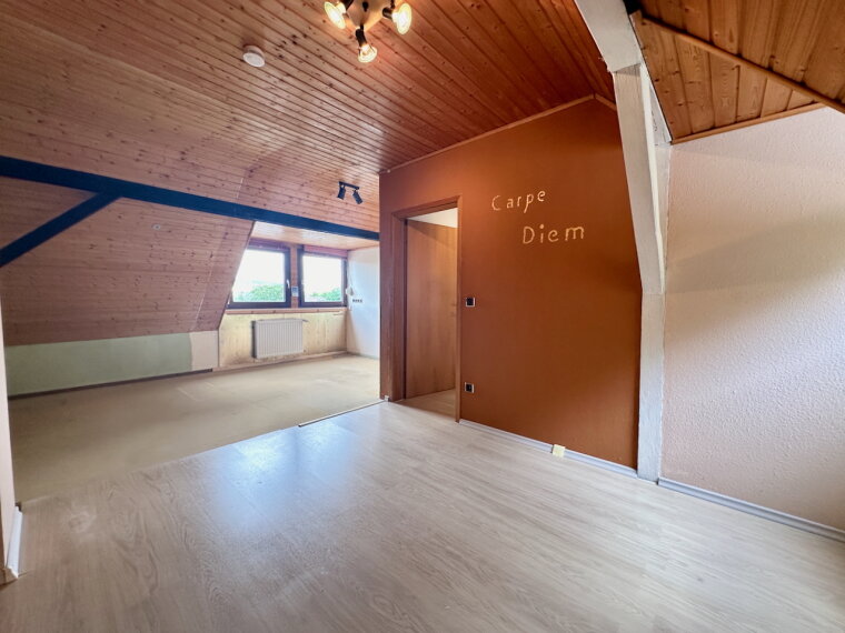 Zimmer DG