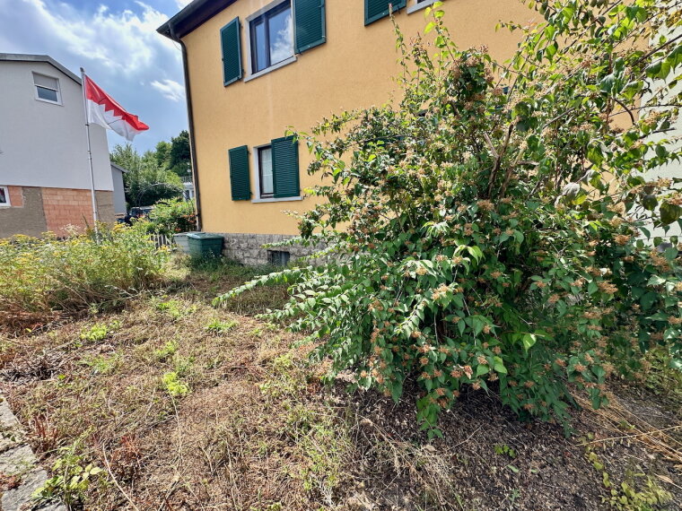 Garten vor dem Haus