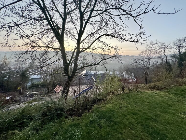 Blick aus dem Garten