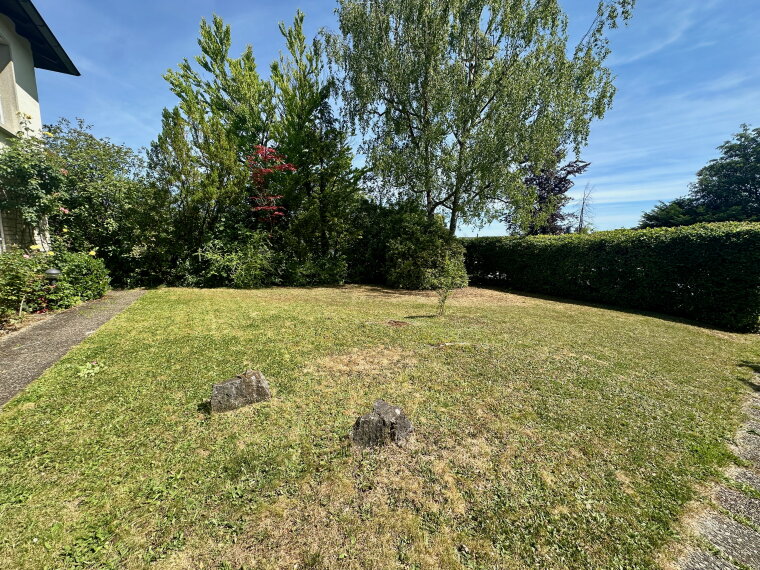 Garten vor dem Haus