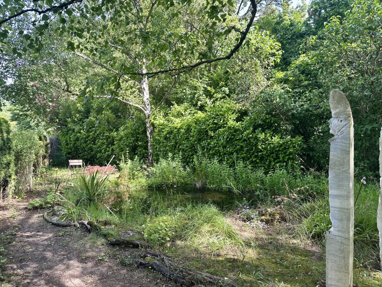 Teich im Garten